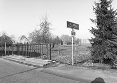 Nierslandschaften 1984: Pappelreihen und Kopfweiden prägen das Landschaftsbild an der Niers.