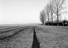 Nierslandschaften 1984: Pappelreihen und Kopfweiden prägen das Landschaftsbild an der Niers.