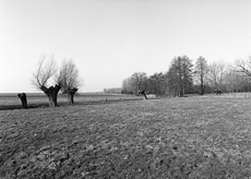 Nierslandschaften 1984: Pappelreihen und Kopfweiden prägen das Landschaftsbild an der Niers.