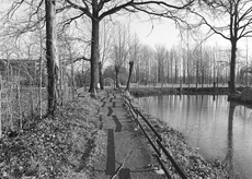 Nierslandschaften 1984: Pappelreihen und Kopfweiden prägen das Landschaftsbild an der Niers.