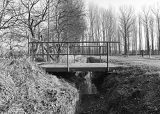 Nierslandschaften 1984: Pappelreihen und Kopfweiden prägen das Landschaftsbild an der Niers.