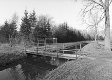 Nierslandschaften 1984: Pappelreihen und Kopfweiden prägen das Landschaftsbild an der Niers.