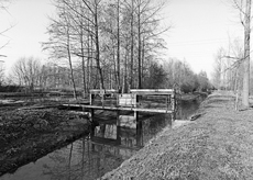 Nierslandschaften 1984: Pappelreihen und Kopfweiden prägen das Landschaftsbild an der Niers.