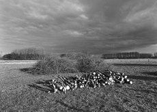 Nierslandschaften 1984: Pappelreihen und Kopfweiden prägen das Landschaftsbild an der Niers.