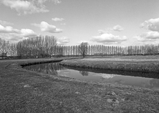 Nierslandschaften 1984: Pappelreihen und Kopfweiden prägen das Landschaftsbild an der Niers.