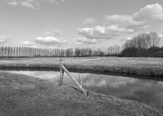 Nierslandschaften 1984: Pappelreihen und Kopfweiden prägen das Landschaftsbild an der Niers.