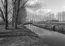 Nierslandschaften 1984: Pappelreihen und Kopfweiden prägen das Landschaftsbild an der Niers.