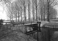 Nierslandschaften 1984: Pappelreihen und Kopfweiden prägen das Landschaftsbild an der Niers.