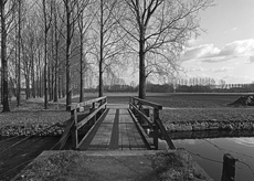 Nierslandschaften 1984: Pappelreihen und Kopfweiden prägen das Landschaftsbild an der Niers.