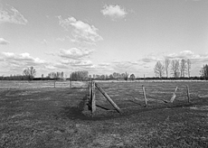 Nierslandschaften 1984: Pappelreihen und Kopfweiden prägen das Landschaftsbild an der Niers.