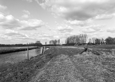 Nierslandschaften 1984: Pappelreihen und Kopfweiden prägen das Landschaftsbild an der Niers.