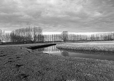 Nierslandschaften 1984: Pappelreihen und Kopfweiden prägen das Landschaftsbild an der Niers.