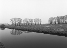 Nierslandschaften 1984: Pappelreihen und Kopfweiden prägen das Landschaftsbild an der Niers.