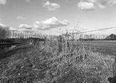 Nierslandschaften 1984: Pappelreihen und Kopfweiden prägen das Landschaftsbild an der Niers.