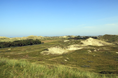 Norderney: DIE Thalassoinsel. Der Blick von der Aussichtsdüne am Polder-Wattweg auf die Dünenlandschaft