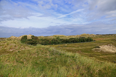 Norderney: DIE Thalassoinsel. Der Blick von der Aussichtsdüne am Polder-Wattweg auf die Dünenlandschaft..<br />