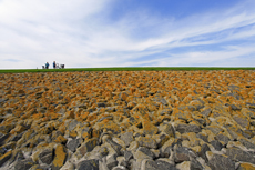 Norderney: DIE Thalassoinsel. Deichschutz am Wattenmeer. Der Südstrandpolderdeich.