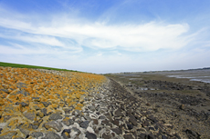 Norderney: DIE Thalassoinsel. Deichschutz am Wattenmeer. Der Südstrandpolderdeich.