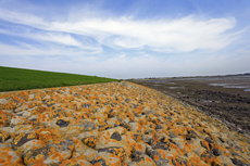 Norderney: DIE Thalassoinsel. Deichschutz am Wattenmeer. Der Südstrandpolderdeich.