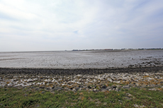 Norderney: DIE Thalassoinsel. Weltnaturerbe Wattenmeer.