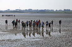 Norderney: DIE Thalassoinsel. Wattwandern sollte man niemals ohne fachkundigen Wattführer unternehmen.