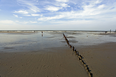 Norderney: DIE Thalassoinsel. Küstenschutz am Nordstrand.