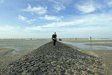 Norderney: DIE Thalassoinsel. Küstenschutz am Nordstrand.