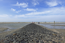 Norderney: DIE Thalassoinsel. Küstenschutz am Nordstrand.