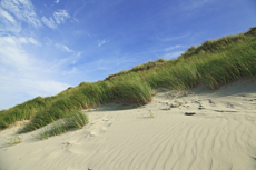 Norderney: DIE Thalassoinsel. Dünenlandschaft am Nordstrand.