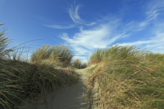 Norderney: DIE Thalassoinsel. Dünenlandschaft am Nordstrand.