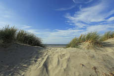 Norderney: DIE Thalassoinsel. Dünenlandschaft am Nordstrand.