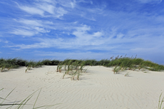 Norderney: DIE Thalassoinsel. Dünenlandschaft am Nordstrand.