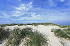 Norderney: DIE Thalassoinsel. Dünenlandschaft am Nordstrand.
