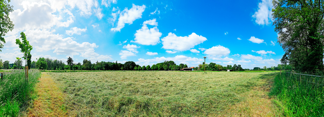 Der Niederrhein: Frühling – Panoramablick 180 Grad. Weide- und Mähwiese bei Wachtendonk mit Storchennest. Panoramagröße: 131x47 cm / 300dpi