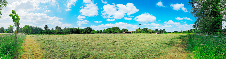 Der Niederrhein:Frühling – Panoramablick 180 Grad. Weide- und Mähwiese bei Wachtendonk. Panoramagröße: 185x48 cm / 300dpi