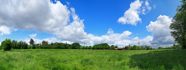 Der Niederrhein: Frühling – Panoramablick 180 Grad. Weide- und Mähwiese bei Wachtendonk. Panoramagröße: 153x58 cm / 300dpi