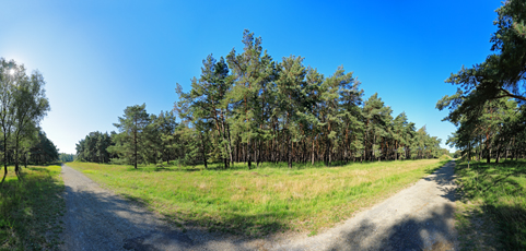 Der Niederrhein: Sommer – Panoramablick 180 Grad. Munitionsdepot Brüggen-Bracht. Panoramagröße: 116x55 cm / 300dpi