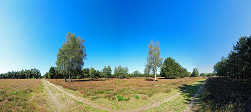 Der Niederrhein: Sommer – Panoramablick 180 Grad. Munitionsdepot Brüggen-Bracht. Panoramagröße: 130x58 cm / 300dpi