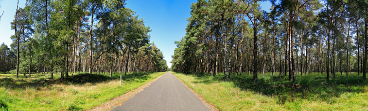 Der Niederrhein:Frühling – Panoramablick 180 Grad. Munitionsdepot Brüggen-Bracht. Panoramagröße: 174x52 cm / 300dpi