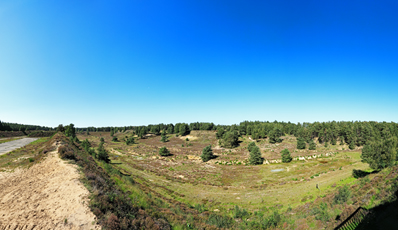 Der Niederrhein: Sommer – Panoramablick 180 Grad. Munitionsdepot Brüggen-Bracht. Panoramagröße: 93x53 cm / 300dpi