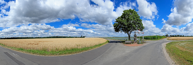 Der Niederrhein: Sommer – Panoramablick 180 Grad. Typische niederrheinische Agrarlandschaft. Panoramagröße: 118x40 cm / 300dpi