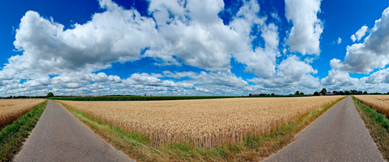 Der Niederrhein:Frühling – Panoramablick 180 Grad. Typische niederrheinische Agrarlandschaft. Panoramagröße: 96x40 cm / 300dpi