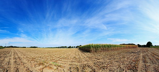 Der Niederrhein: Sommer – Panoramablick 180 Grad. Typische niederrheinische Agrarlandschaft. Panoramagröße: 93x42 cm / 300dpi