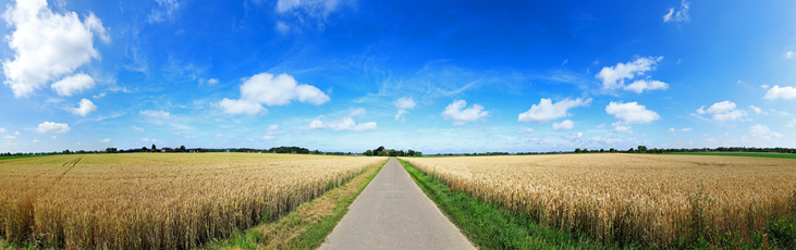 Der Niederrhein:Frühling – Panoramablick 180 Grad. Typische niederrheinische Agrarlandschaft. Panoramagröße: 180x56 cm / 300dpi