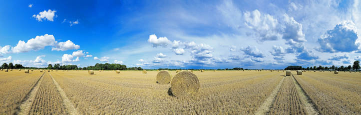 Der Niederrhein: Sommer – Panoramablick 180 Grad. Strohballen nach der Getreideernte. Panoramagröße: 179x57 cm / 300dpi