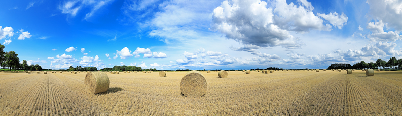 Der Niederrhein: Sommer – Panoramablick 180 Grad. Strohballen nach der Getreideernte. Panoramagröße: 178x54 cm / 300dpi