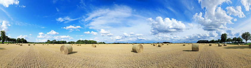 Der Niederrhein: Sommer – Panoramablick 180 Grad. Strohballen nach der Getreideernte. Panoramagröße: 201x54 cm / 300dpi