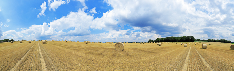 Der Niederrhein: Sommer – Panoramablick 180 Grad. Nach der Getreideernte. Panoramagröße: 185x56 cm / 300dpi