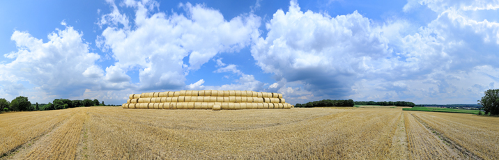 Der Niederrhein:Frühling – Panoramablick 180 Grad. Strohballen nach der Getreideernte.. Panoramagröße: 179x57 cm / 300dpi