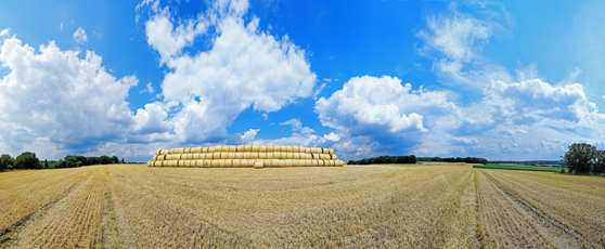 Der Niederrhein:Sommer – Panoramablick 180 Grad. Strohballen nach der Getreideernte. Panoramagröße: 142x58 cm / 300dpi